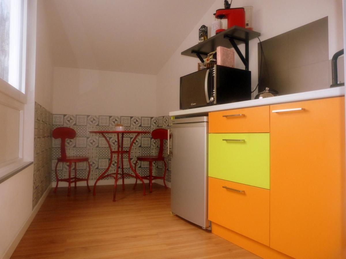 Le Studio Stanislas Appartement Colmar Buitenkant foto